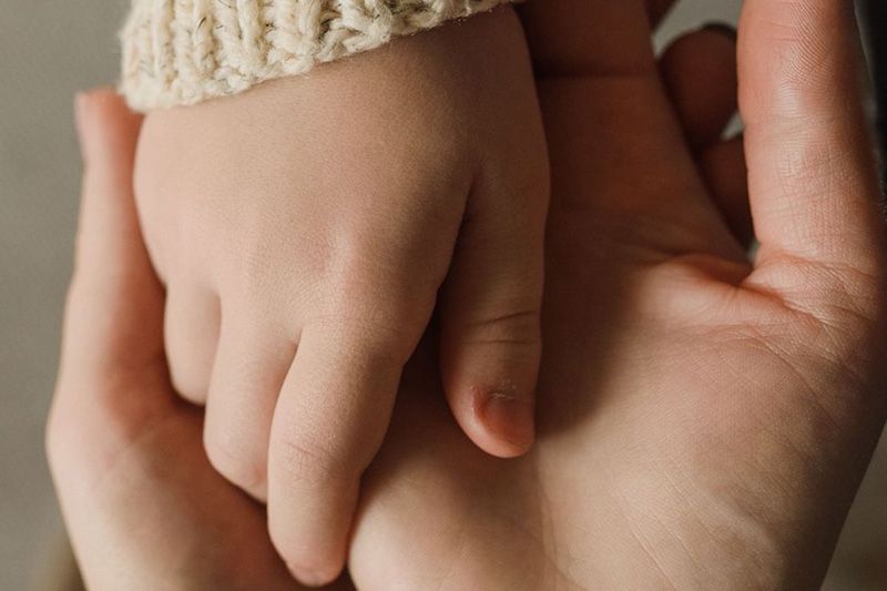 Acompanyament a famílies des de la mirada sistèmica